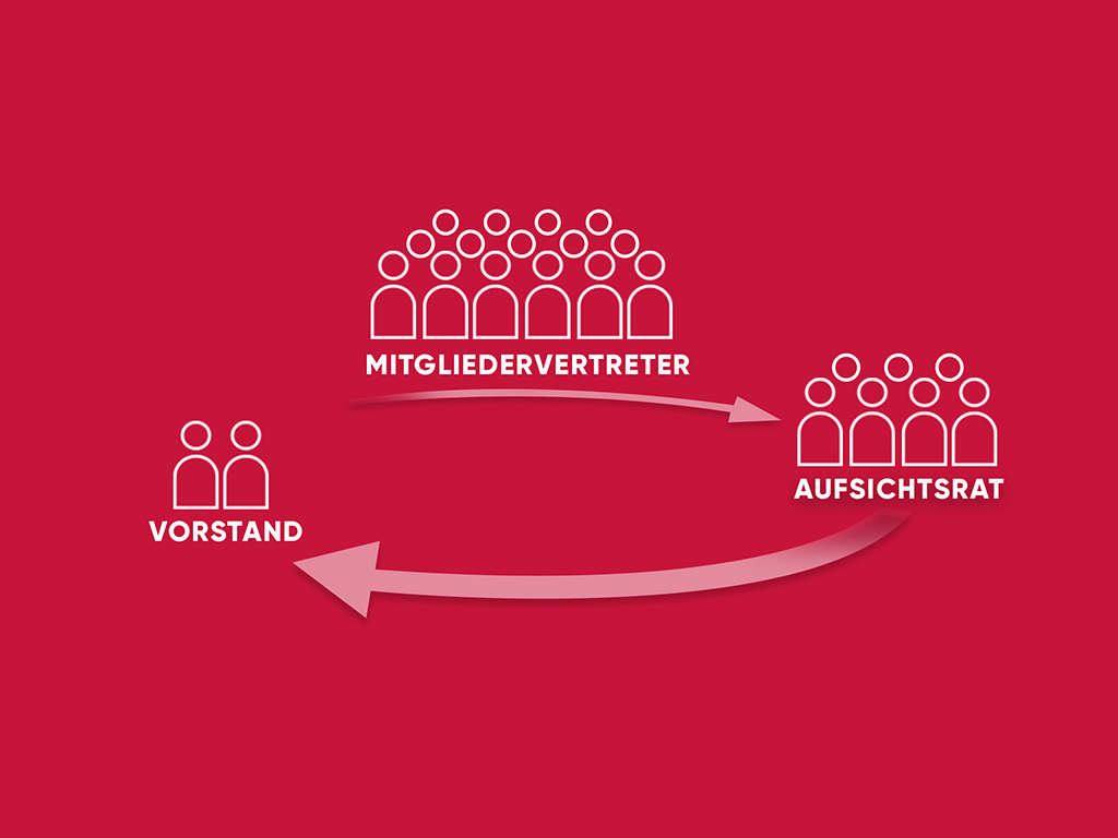 Grafik zu den Organen der Genossenschaft auf rotem Hintergrund. Drei Gruppen werden durch weiße Strichfiguren-Piktogramme dargestellt: Links steht „VORSTAND“ mit zwei Personen-Icons. Oben mittig befindet sich die größte Gruppe, „MITGLIEDERVERTRETER“, mit 13 Personen-Icons. Rechts steht „AUFSICHTSRAT“ mit fünf Personen-Icons. Ein gebogener Rosa-Pfeil führt von den Mitgliedervertretern zum Aufsichtsrat, und ein zweiter gebogener Pfeil führt vom Aufsichtsrat zurück zum Vorstand.